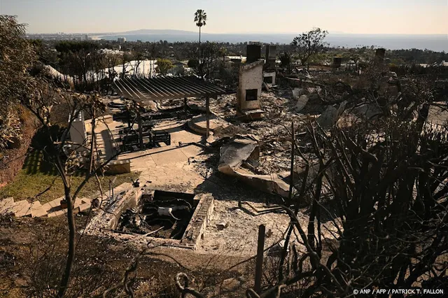 Nutsbedrijf Los Angeles aangeklaagd om watertekort bij branden