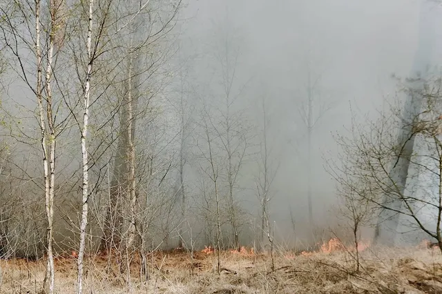 Brand in De Meinweg lijkt zich niet meer uit te breiden