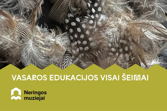 Vasaros ketvirtadienių edukacijos Image