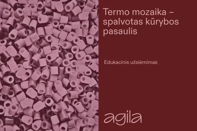 Edukacinis užsiėmimas „Termo mozaika – spalvotas kūrybos pasaulis“ Image