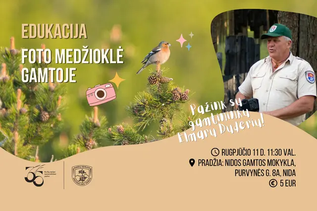 Tavo supermodelis – kikilis! Foto medžioklė gamtoje Image