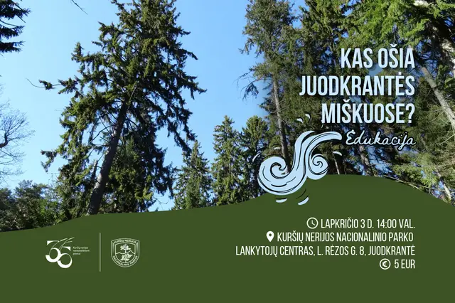 Kas ošia Juodkrantės miškuose? Edukacija Image