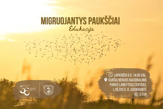 Migruojantys paukščiai. Edukacija Image