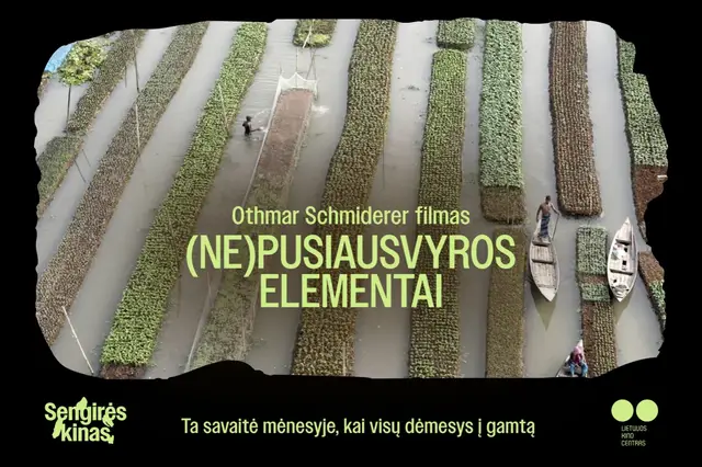Sengirės kinas: „(Ne)pusiausvyros elementai“ Image