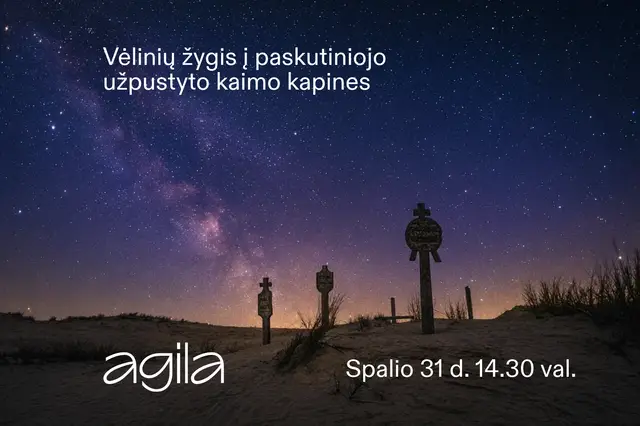 Vėlinių žygis į paskutiniojo užpustyto kaimo kapines Image