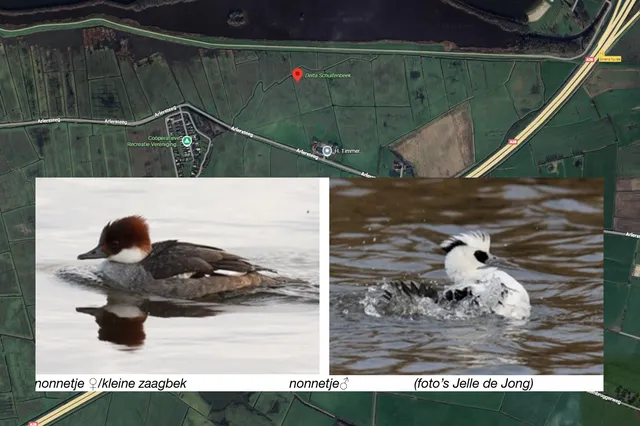 Excursie Wintergasten Image