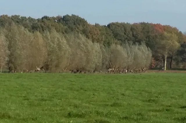 Fijn buiten aan de slag aan de rand van de Arkemheense polder Image