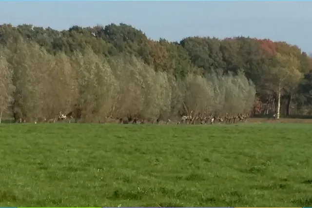 Fijn buiten aan de slag aan de rand van de Arkemheense polder Image