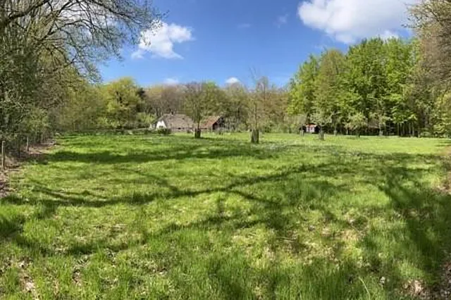 Vogelgeluiden in het Hoevelakense bos Image