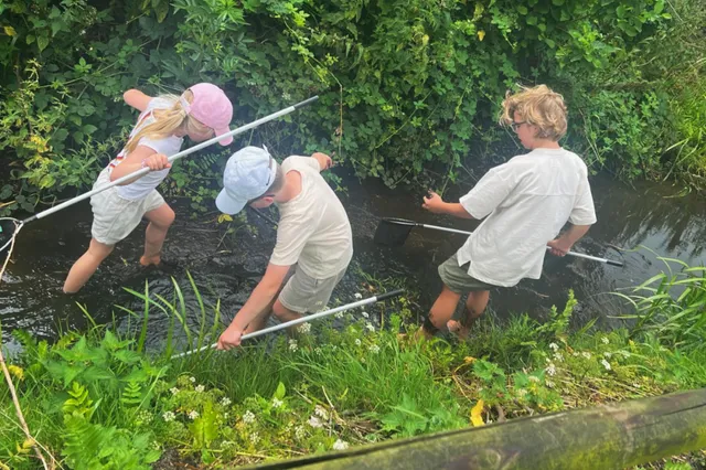 Jeugdnatuurclub IVN Nijkerk gaat slootjes vissen bij Laakzijde Image