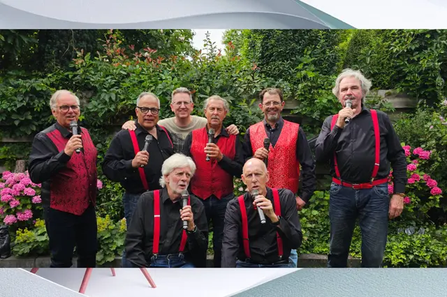 Band Zeven Tinten Grijs keert terug na dertien jaar Image