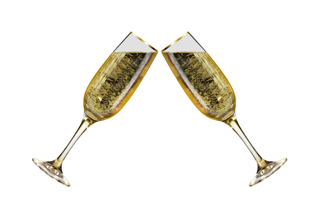 Gemeentelijke nieuwjaarsreceptie in het Kulturhus