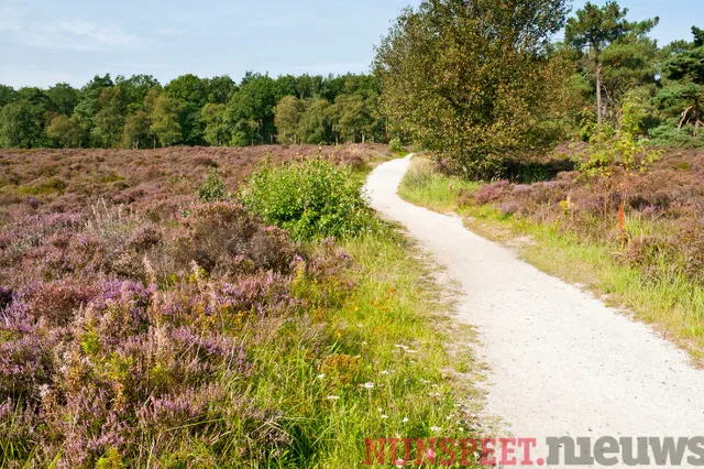 Veel animo voor de wandeling over de Veluwse heide rondom Nunspeet