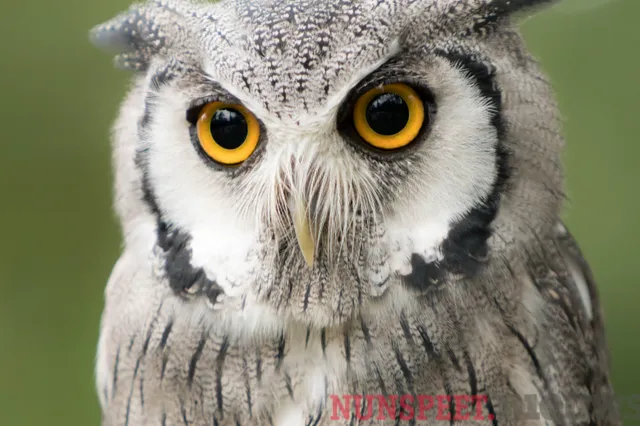 Wintertijd dus een uur de klok terug