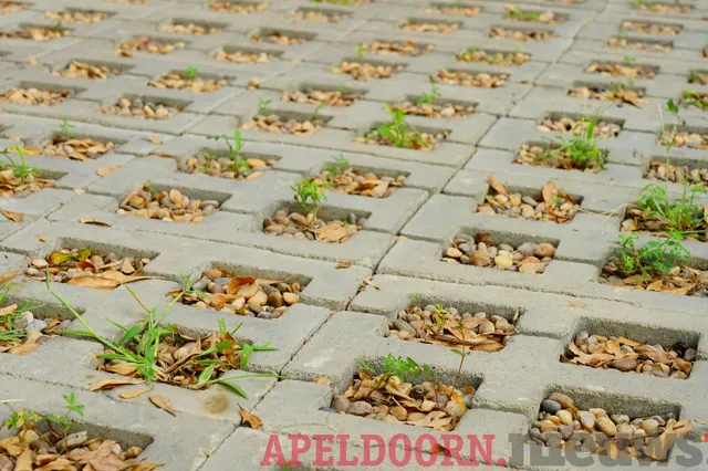 Klimaatadaptatie: Aanpassingen voor een veerkrachtige toekomst