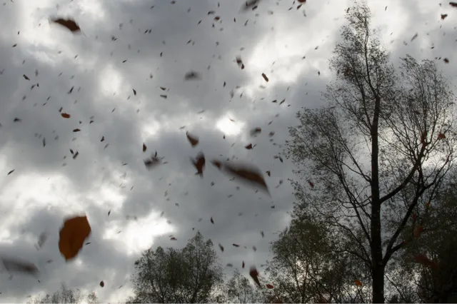 Wisselvallig met soms veel wind