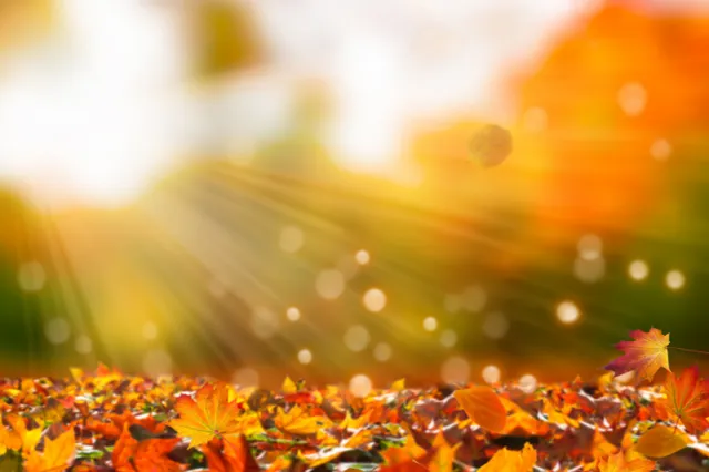 De herfst kleurt onze gemeente