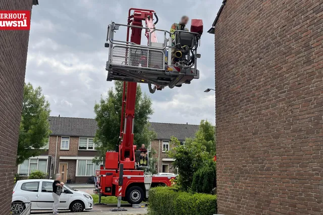 Brandweer bevrijdt vastzittende zwaluw Jacob Catslaan