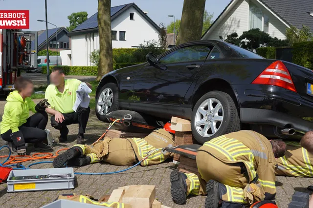 Kat bevrijd na benarde uren onder auto Vorselaar
