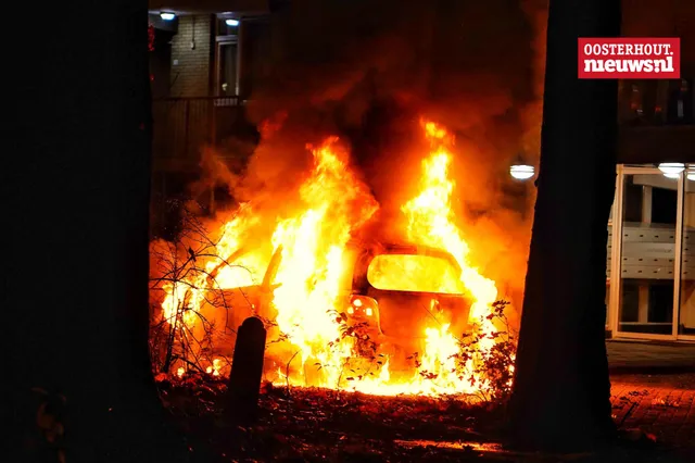 Auto volledig in lichterlaaie Van Leeuwenhoeklaan