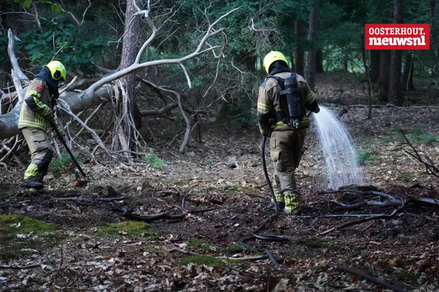 Bosbrand in natuurgebied Surae snel onder controle