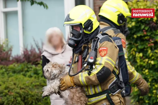Meerdere huisdieren gered bij brand in woning Asterstraat