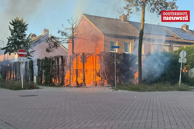 Auto en heg Lorentzlaan verwoest door brand