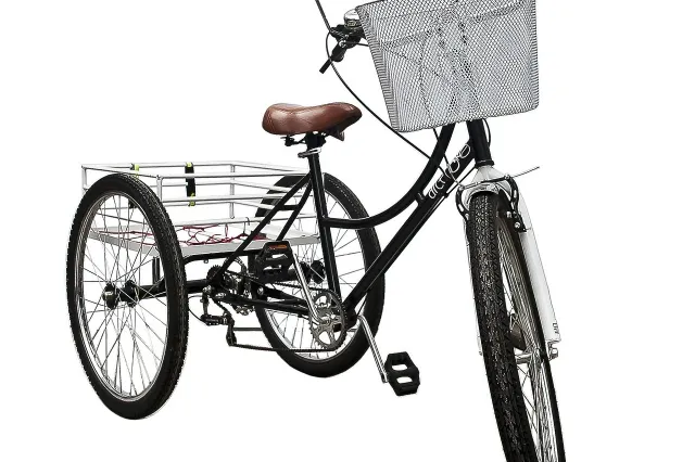 Driewielfietsontdekdag Image