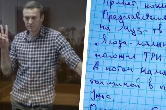 Russische oppositieleider Navalny schreeuwt om hulp vanuit concentratiekamp