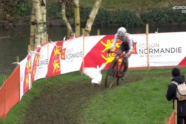 VIDEO: Zwei Enten zwingen Fahrer dazu, einen verhängnisvollen Zusammenstoß beim World Cup Flamanville knapp zu vermeiden