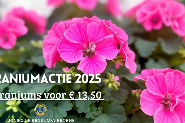 Geraniums voor het goede doel van de Lionsclub Renkum Airborne