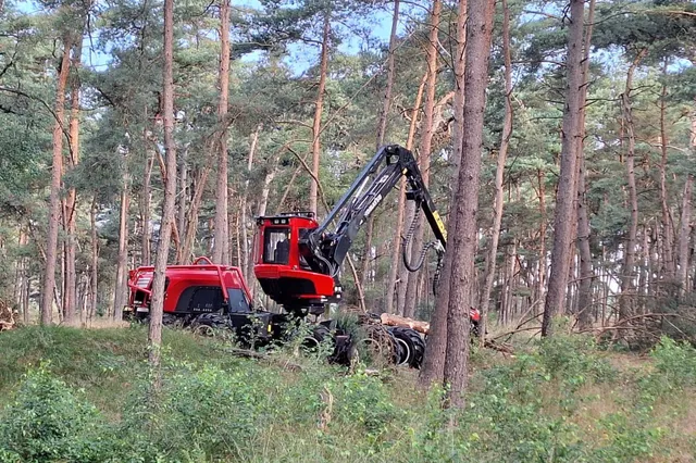 Een gezond en gevarieerd bos
