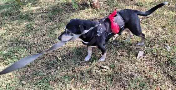 Column: Wat een privileges!