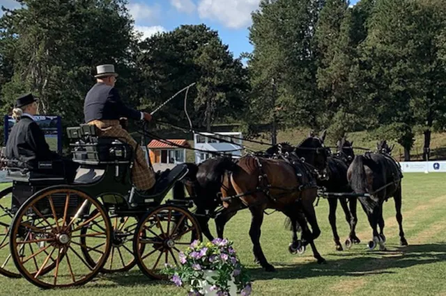 Hans Heus uit Eerbeek weet te presteren op het wereldkampioenschap paarden mennen