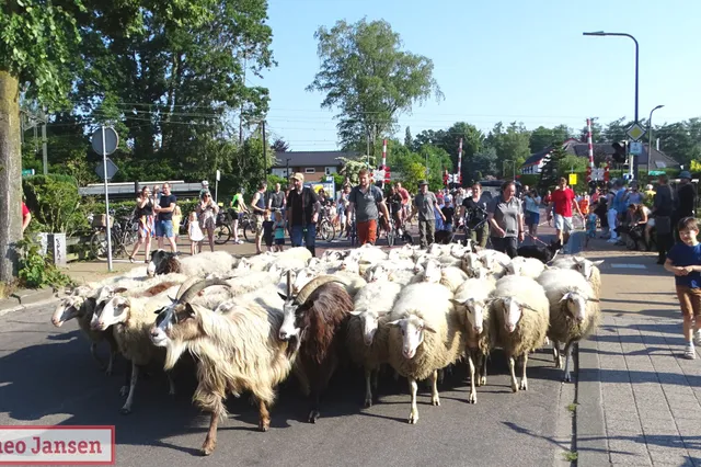 Bonte Schaap Festival 2025 tijdens 1e Pinksterdag