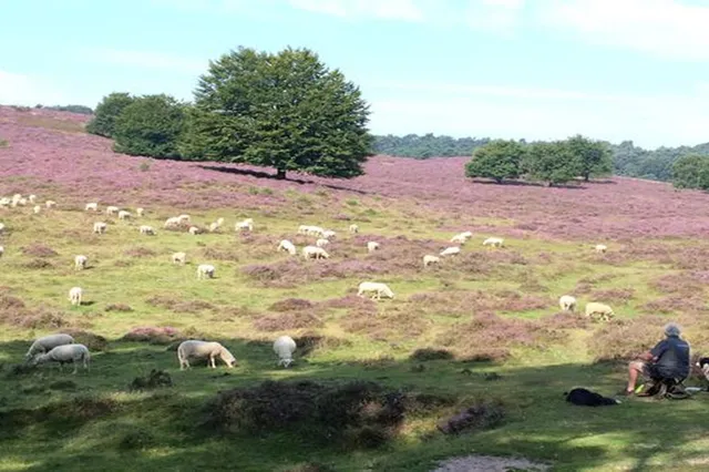 Vanaf 1 juli 2024: Gedeeltelijke afsluiting wegen Nationaal Park Veluwezoom
