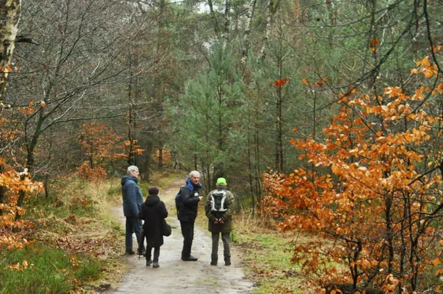 IVN wandeling in het Rozendaalse bos Image