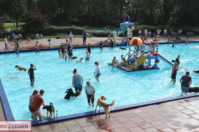 Hondenplons in Openluchtbad Rheden Image