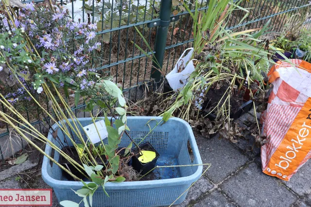 Ruilmarkt voor tuinplanten en zaden in Oud Dieren Image