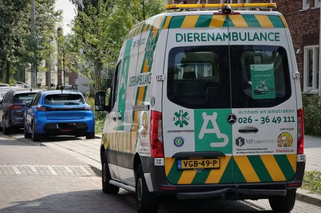 Dierentehuis Arnhem en Omstreken zoekt vrijwilligers met een hart voor dieren