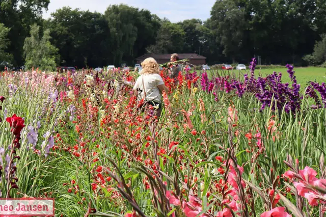 Gladiolenfestival in Laag-Soeren Image