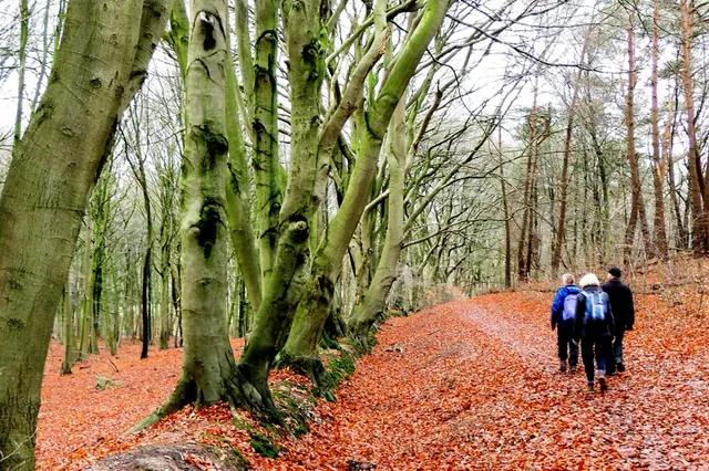 Wandeling tussen Kamerdalseberg en Rhederhof: Grens van hoog en laag bij Rheden Image