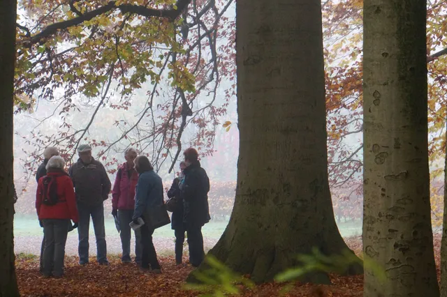 Sylvesterwandeling met snert in Velp Image