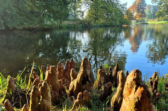Wandeling met gidsen in Park Hof te Dieren Image