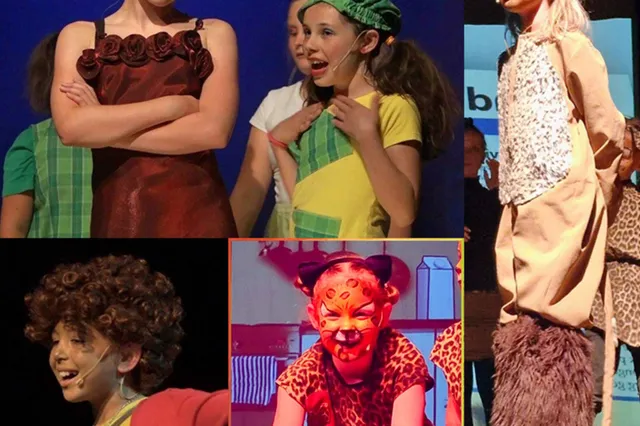 Drie Musical voorstellingen in Schouwburg Theothorne Dieren Image