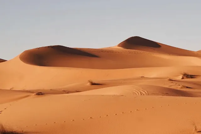 Ouders opgepakt na het willen offeren van 'bezeten' zoon in Sahara