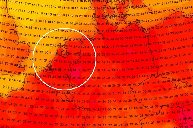Tropische monsterhitte keert terug: zo heet gaat het worden