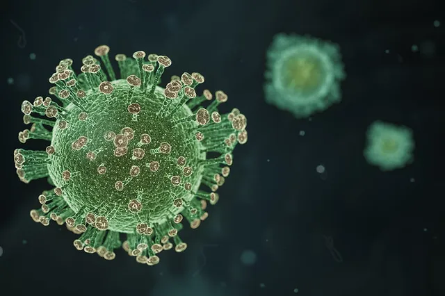 'Zomergolf' coronavirus verpietert: slechts 46 coronapatiënten op ic