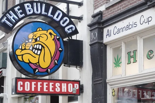 Cannabis carnaval in Brabant terwijl Nederland zucht onder echte problemen