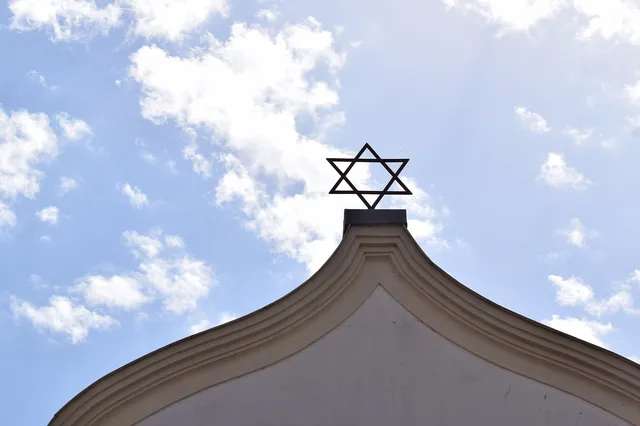 Verrassing! Verdachte van synagoge-aanval in Frankrijk is een radicale Algerijn: "antisemitische aanslag!"